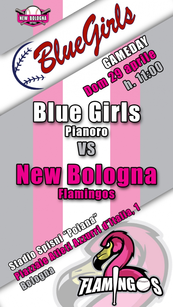 FLAMINGOS -SECONDO SUCCESSO