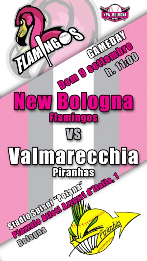 FLAMINGOS - SI GIOCA LA COPPA EMILIA