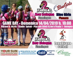 FLAMINGOS: BUONE PROVE NEL MALTEMPO